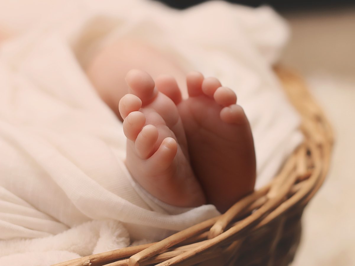 Regular Obstetrics